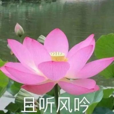 墨殇画影官方版(暂未上线)v1.0.1 安卓版