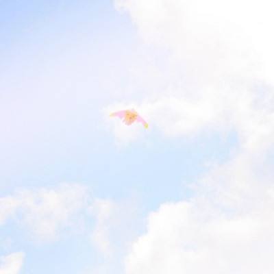 九游朝歌封神录手游下载