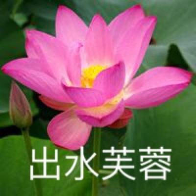 铸剑师百度手游下载